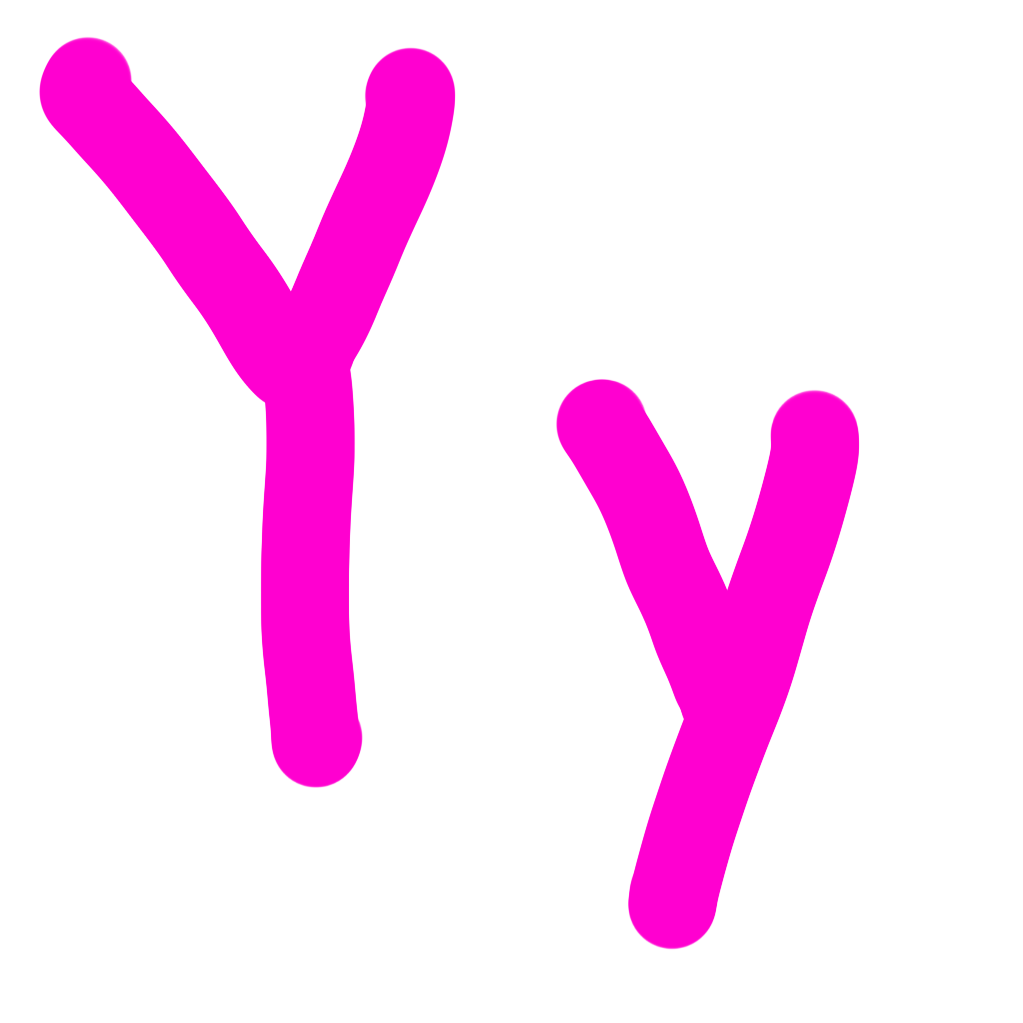 Letter Y